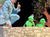 IMG-20251210-WA0080