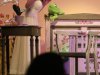 IMG_7175